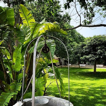 شقة La Casa Bianca مارسالا المظهر الخارجي الصورة