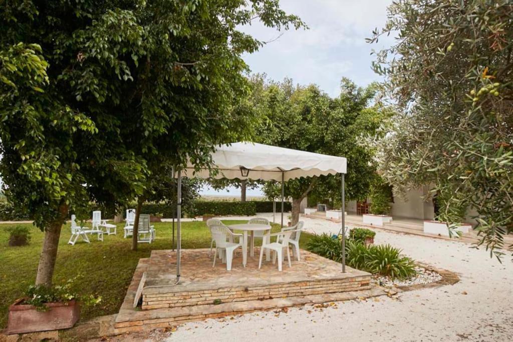 شقة La Casa Bianca مارسالا المظهر الخارجي الصورة